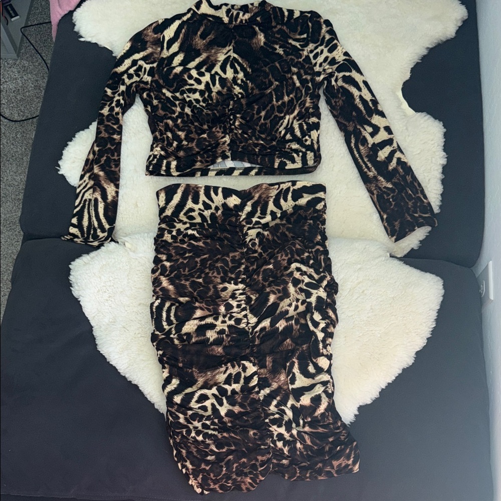 Ruched Leopard Print Long Sleeve Top and Skirt Set